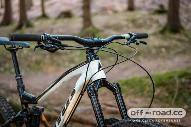 Vitus sommet sales vr 2019 review